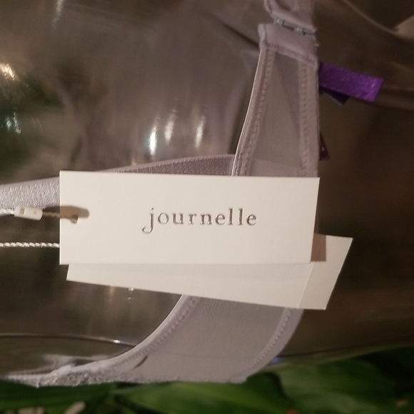 ❤❤️ NWT -  Journelle Daphne Demmi Lace Bra - Dove -  34C - Picture 3 of 5